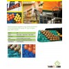 SGS/FDA Approved 29x49cm PP Fruit Tray For Kiwi