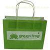 Cute Paper Carrier Bags Biodegradable Green with Vest Handle