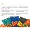 FDA Approved Custom-Made Disposable Plastic Fruit  Food Container