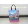 BiodegradableNon Woven Plastic Bags Delicate Printing With Handle