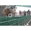 Ammunition and explosives stores defence hesco barrier qiaoshi
