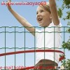 euro fence wire mesh/holland wire mesh euro fencing