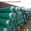 PVC Coated Holland Wire Mesh/PVC Holland Wire Mesh Fencing (Professional Manufacturer,Factory Price