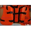Seahorse life vest