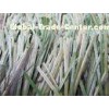 Bicolor Thiolon Football Artificial Grass Turf 12500Dtex for School Soccer Playground