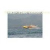 High Quality Inflatable Flying Fish Boat for Commercial Use