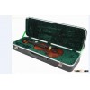 cheap and double Violin case