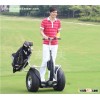 China Mini Electric Scooter Segway Scooter Thinking Two Wheeled Self Balancing Car