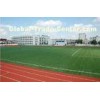 Green Field Football Artificial Grass Turf w/ Yarn 50mm ,Gauge 3/4 for Schools