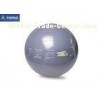 Large Yoga Exercise Ball With Circle Logos Printing For Stretching Thighs / Lower Back