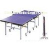 Professional Indoor Table Tennis Table Height 760mm For Gymnasium