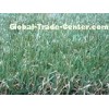25mm Monofilament Synthetic Commercial Artificial Grass Turf Lawn