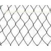 black Polyethylene Anti bird Bush / Plant protective netting for fruit trees