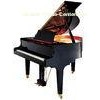 166cm Polished Acoustic Grand Piano Concert Pianos with Hydraulic Descent Device AG-GP166