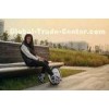 Long Distance Gyro Stabilized Electric Unicycle Single Wheeled Personal Transport