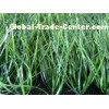 8800Dtex 50mm Bicolor Baseball Turf Grass With PP + NET Cloth Backing