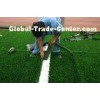 Custom 40mm PP Synthetic Golf Artificial Turf Greens For Receipt and Centralization