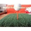 40mm 5/16" Needle Distance PP Durable Artificial GrassTurf ,Baseball,Hockey Court , Golf Artific