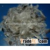 Washed grey goose feather 4-6 cm