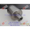 Water & Gas strainers (screen nozzles)