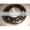 Radial Ball Bearing