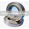 Ball Bearing 6004