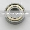 Deep Groove Ball Bearing (6204)