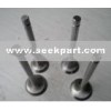 Air Valve