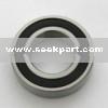 6000 Series Bearings