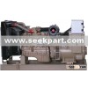 Diesel Generator Sets