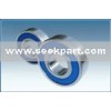 Roller Bearing (6900)