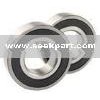 Stainless Steel Bearing (6900-6938ZZ/2RS)