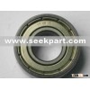 Deep Groove Ball Bearing (R8Z)