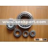 Bearing