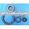 Ceramic Ball Bearing