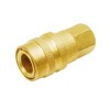 1/4" Female Quick Coupler