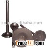 Jh70 Engine Valves