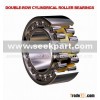 Double-Row Cylindrical Roller Bearings (NN, NN---K, NNU)