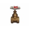 WH007 GATE VALVE