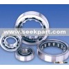 Cylindrical Roller Bearing (sbq)