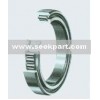 Cylindrical Roller Bearing (SL, ZSL)