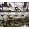 Pigeon Cages