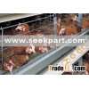 Chicken Cages