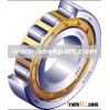 Cylindrical Roller Bearing