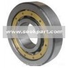 Cylindrical Roller Bearings (NU1004)