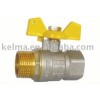 Ball Valve/Brass Ball Valve