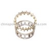 bearing and roller polishing tool