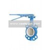 Handle Stainless Steel Butterfly Valve