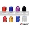 steel tire valv cap