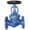 Globe Valves